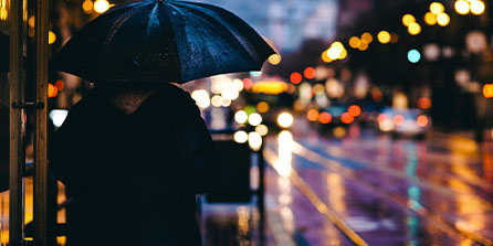 西雅图海湾者主场迎战蒙特雷，锋线火力引爆看点